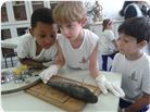 LABORATÓRIO_PEIXES (14).JPG